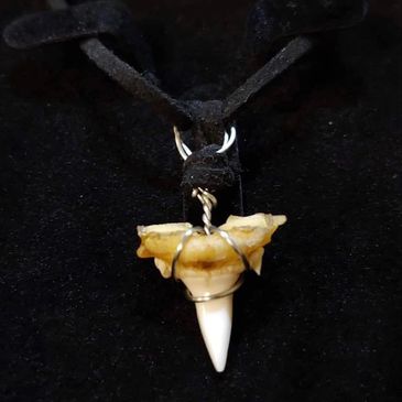 Pendant with a tooth-shaped charm wrapped in wire on a black cord.