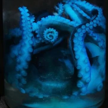 Glowing blue octopus tentacles coiled inside a container.