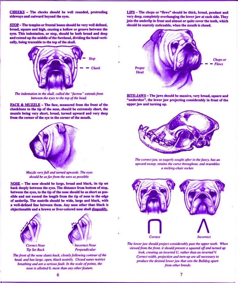 Breed Standards
