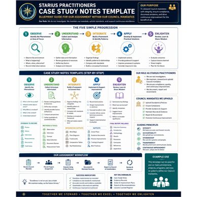 Starius practitioners case study notes template for council mandates.