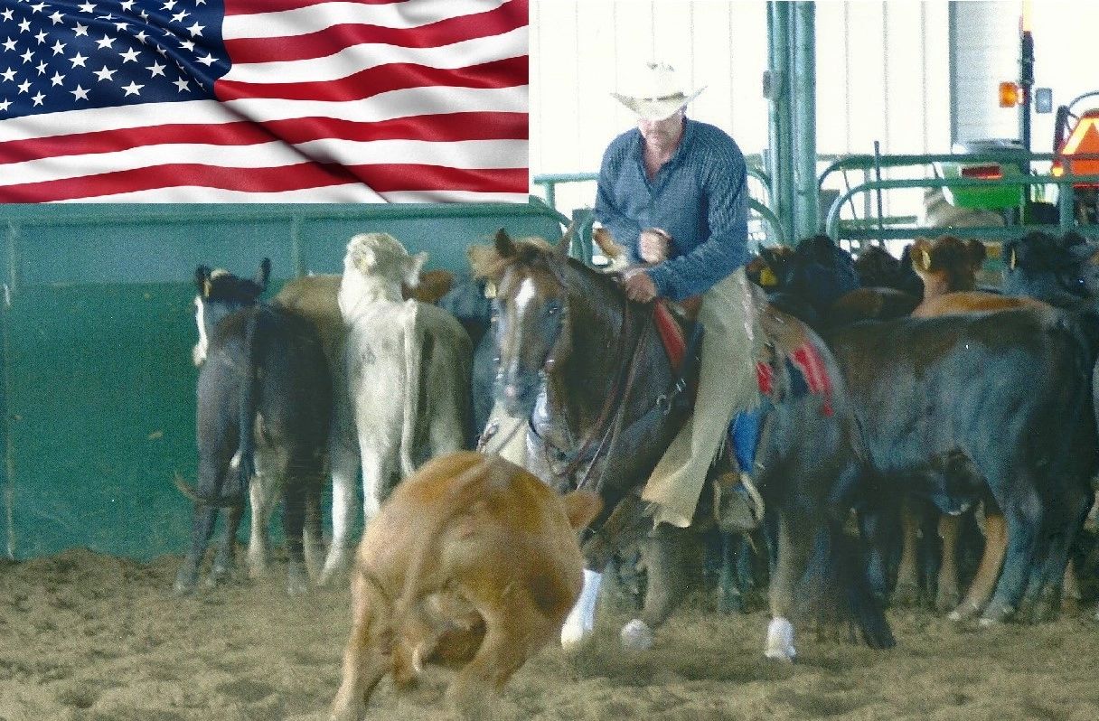 Embout De Levage Cowboy Tack 9 Pouces – Filet 5 En Bouche, Occasion USA #22-10