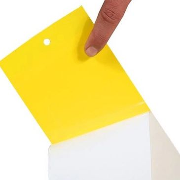 Different kind of sticky traps