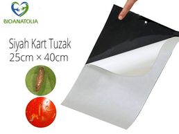 Siyah plaka tuzak 25x40cm