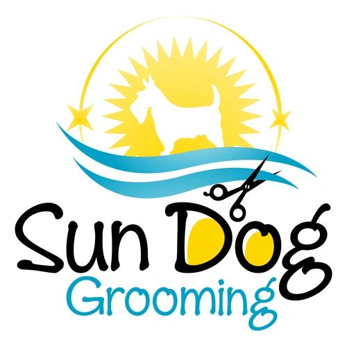 Best Sun Dog Grooming in 2023 Check it out now 