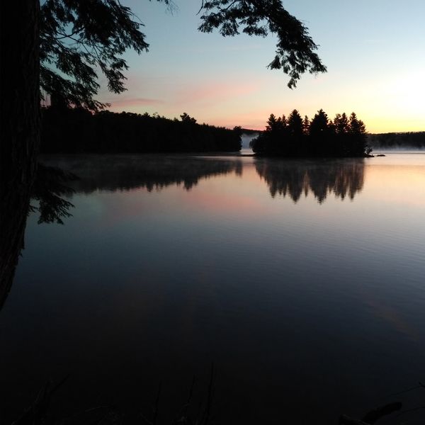 Calm lake at sunset with silhouetted trees reflecting on the water.
