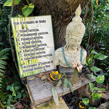 Buddha statue with a sign listing eight truths in Spanish in a garden setting.