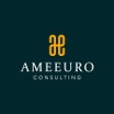 AMEEURO CONSULTING