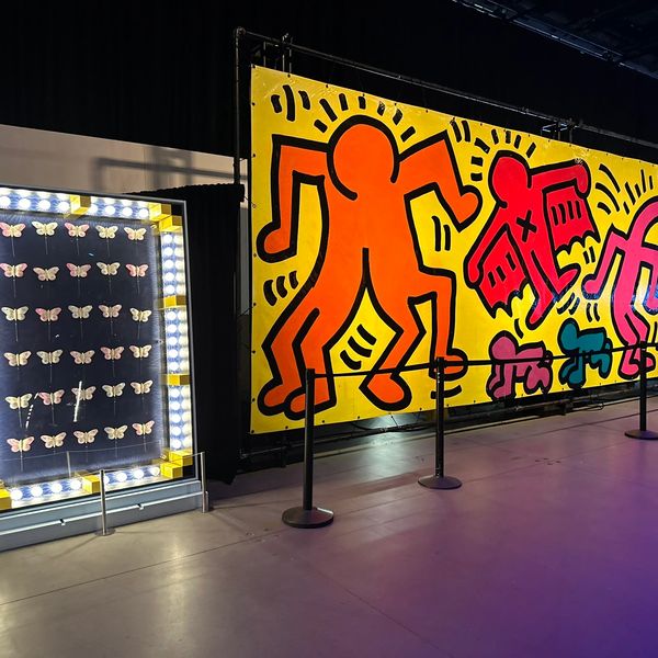 LUNA LUNA NYC Butterfly case, Keith Harring