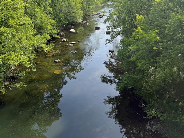 A calm river flowing through lush green trees with rocks scattered in the water.