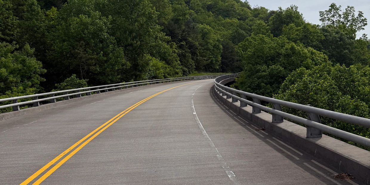 Curved road through dense green forest with metal guardrails.