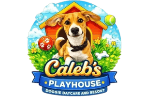 Caleb's Playhouse