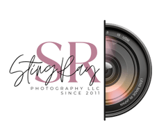 Sting Ray Photography