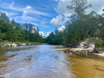 Coldwater Creek 