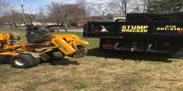 Albany County New York Tree Stump Grinding / Tree Stump Removal www.StumpWrecker.com