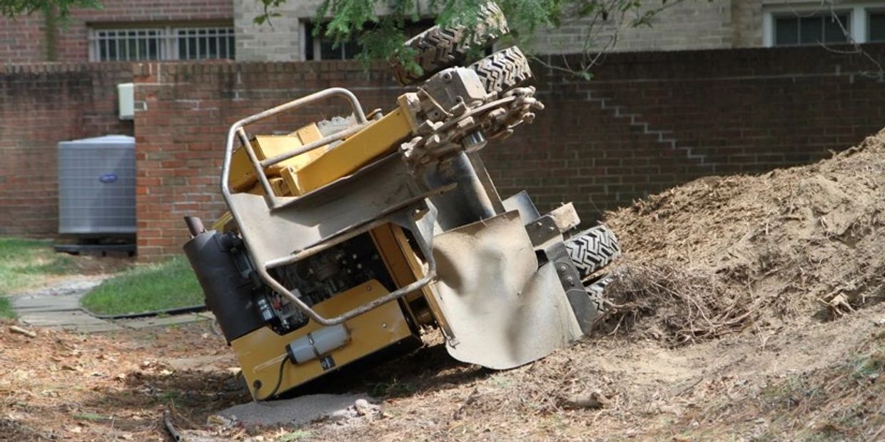 Stump Grinder rental. rent a stump grinder near me. stump grinding equiptment rental. DIY stump