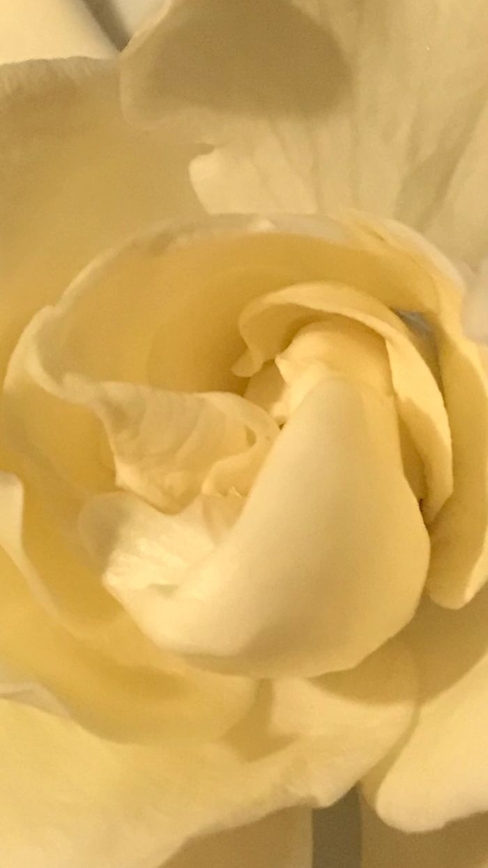 image90