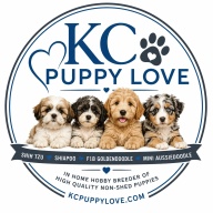 KCPuppyLove