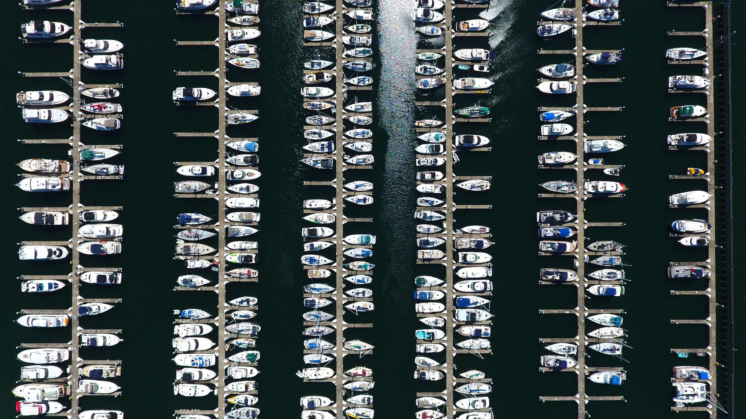 Seattle Mobile Marine Diesel Mechanic