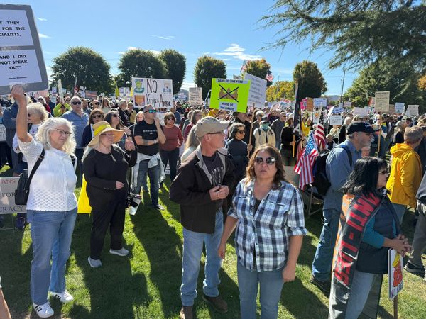 No Kings Rally - Great Turn Out