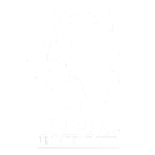 Dreams Uncorporated