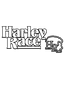 theharleyrace.com