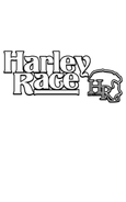 theharleyrace.com