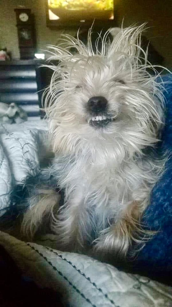 Chiac with a major bedhead and a smile