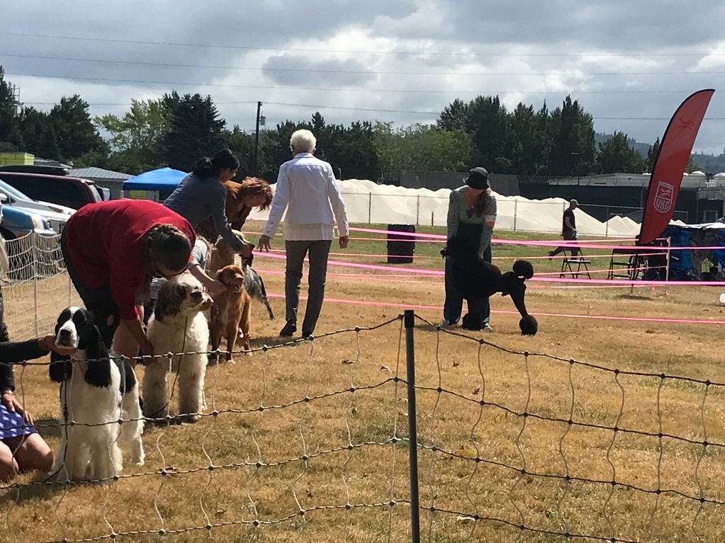 2021 UKC Western Classic.