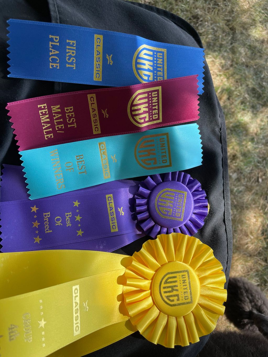 Stephen's wins at 2021 UKC Western Classic.