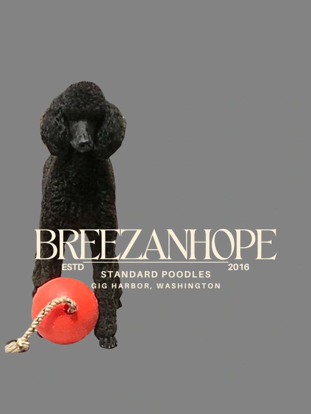 IT ALL STARTED WITH AVA BREEZE.