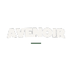 Avenoir Events & Logistics 