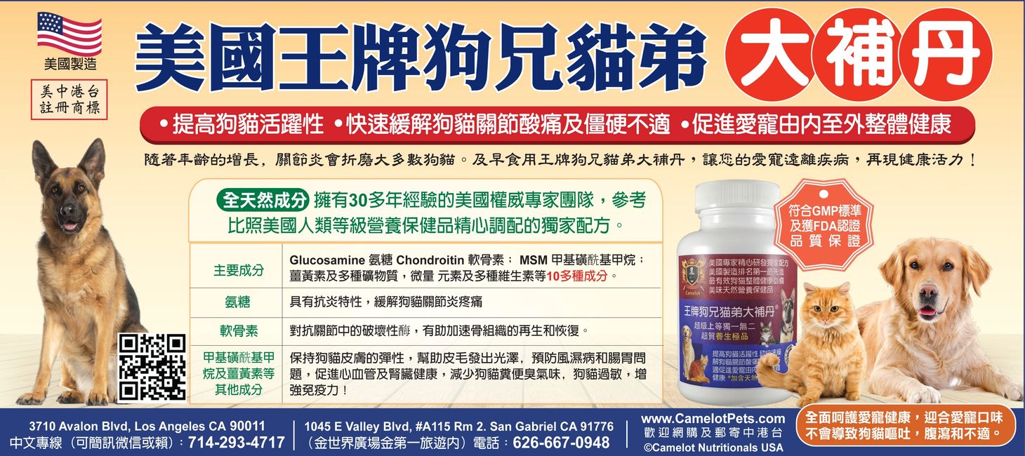 王牌狗兄猫弟大補丹