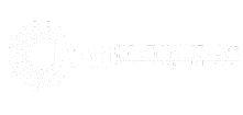 cpaii.org