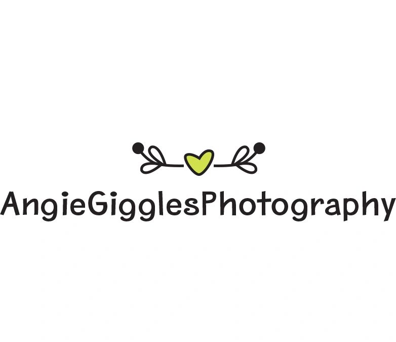 pics and giggles photography