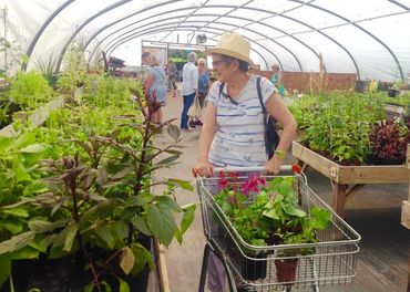 Shopping for plants is a pleasure