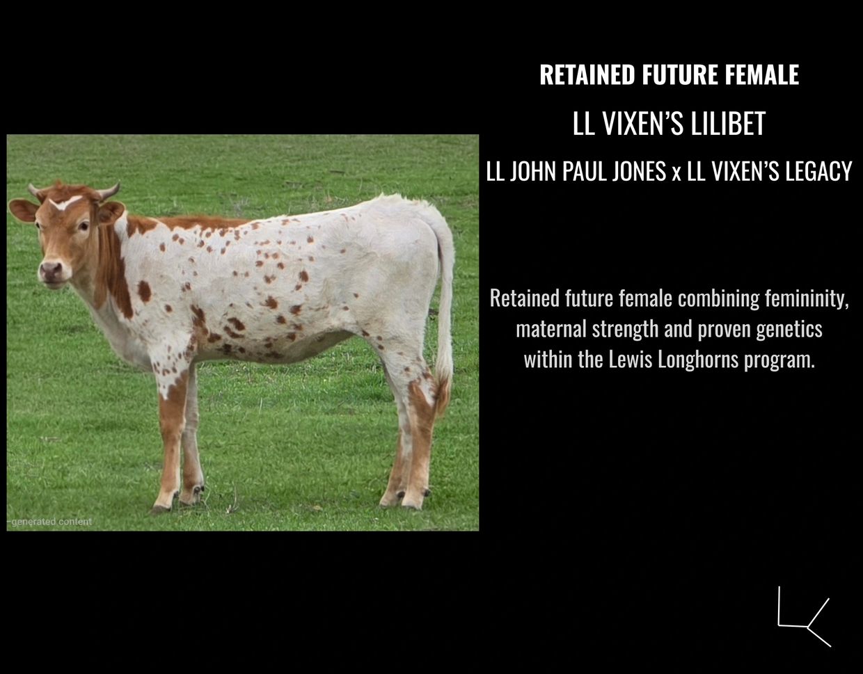 A Lewis Longhorn calf with white and brown spots standing on green grass.