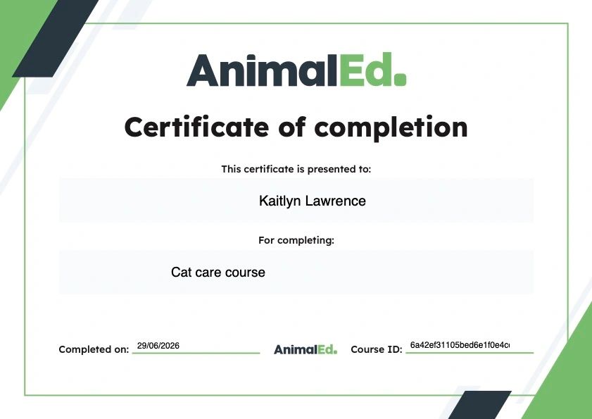 Certificate of completion for Cat care course awarded to Kaitlyn Lawrence.