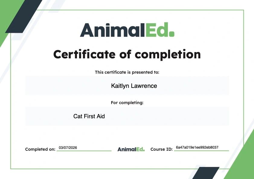 Certificate of completion for Cat First Aid by Kaitlyn Lawrence.