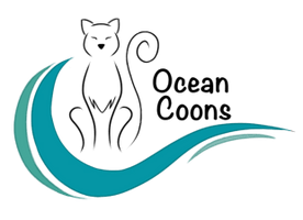 Ocean Coons