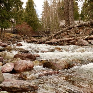 
Lake McDonald Lodge & Cabins | Glacier National Park