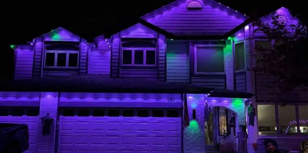 House illuminated with purple and green lights at night.