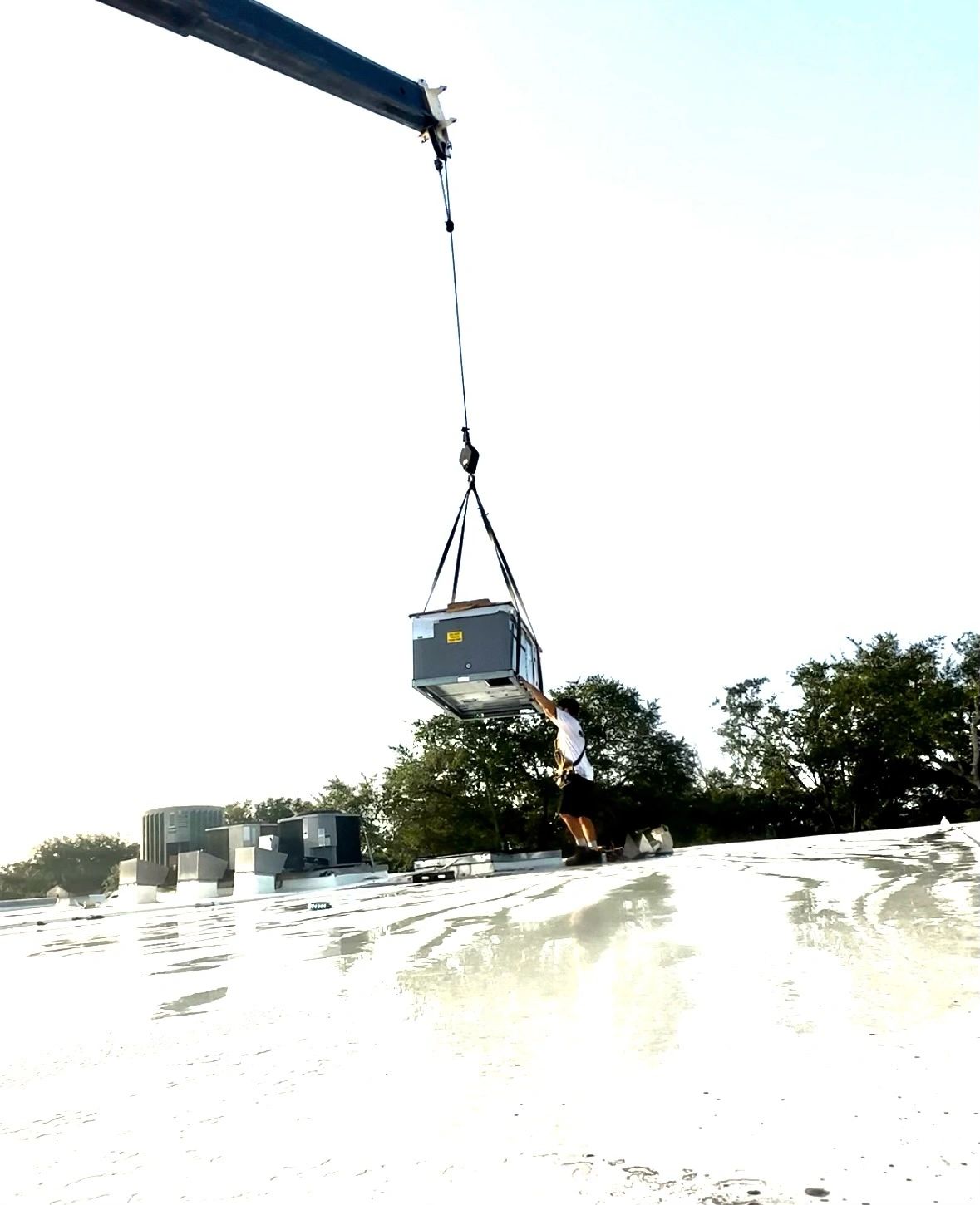 Profile picture of Bea Cool Ac