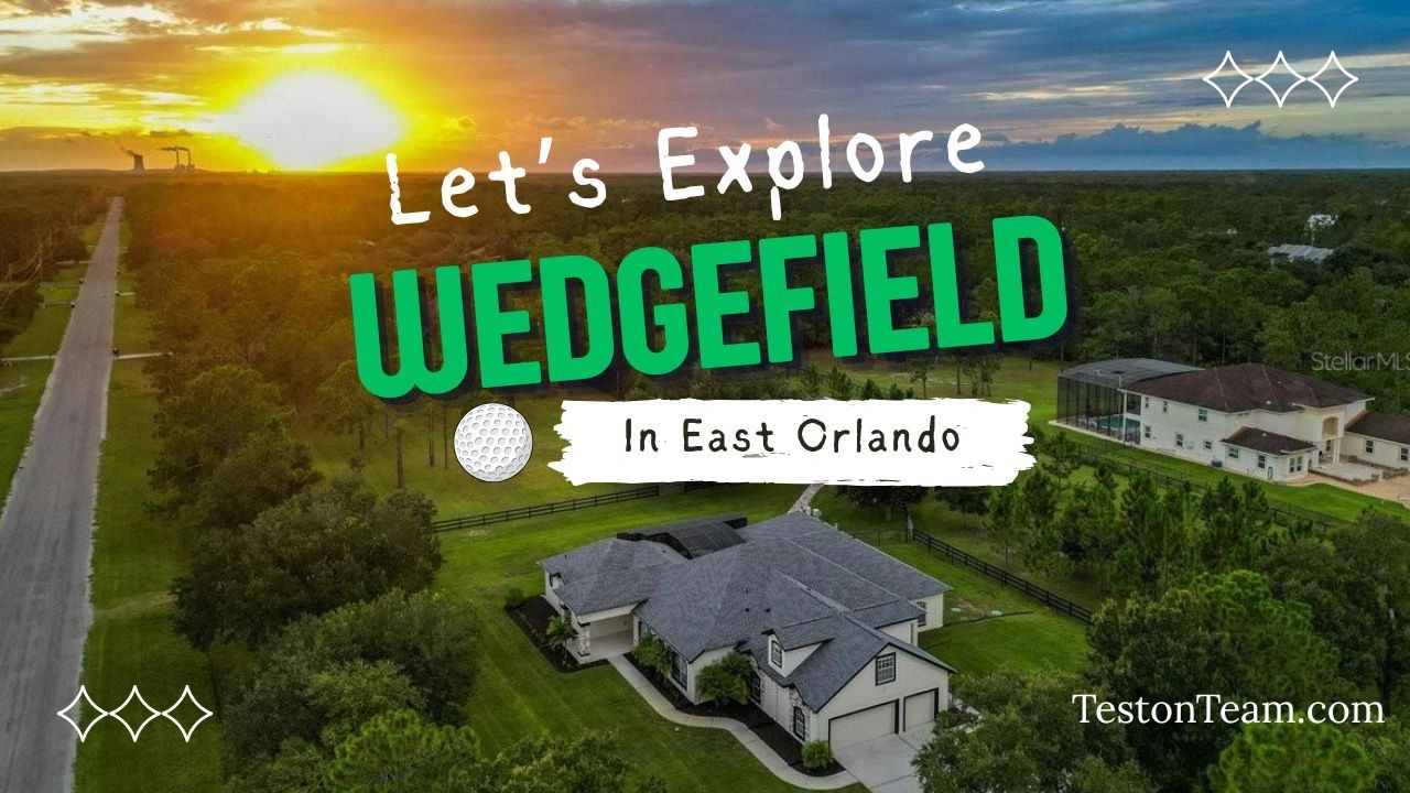 Wedgefield Rockets Welcome to Wedgefield (aka