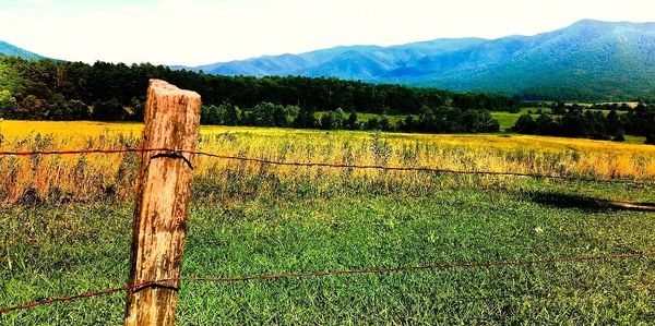 Rustic barbed wire fence with a scenic mountain and field backdrop.