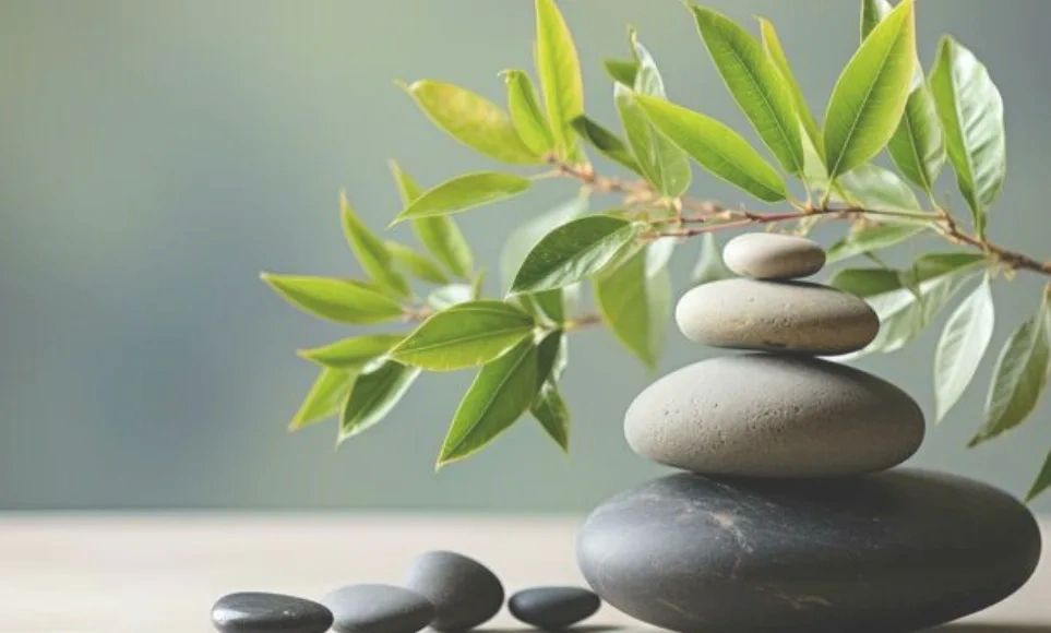 Stacked smooth stones with green leaves in a calm setting.