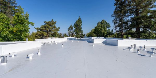 Flat white commercial roof with vents under a clear blue sky.