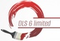 DLs6 limited 