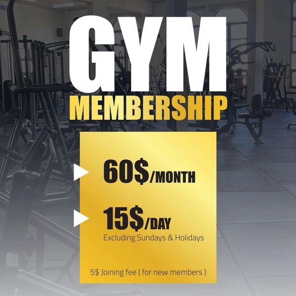 Gym membership plans at Vibe Fitness with monthly and daily rates.