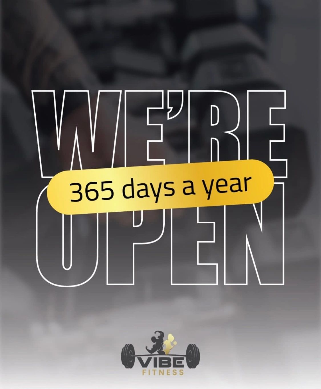 Vibe Fitness is open 365 days a year.