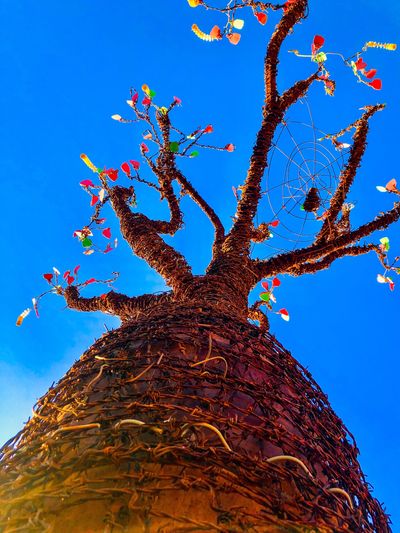 Bottle Tree Sculpture 